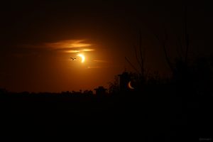 Partielle Sonnenfinsternis in Mainfranken am 12. August 2026 um 20:20 Uhr