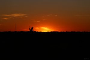 Partielle Sonnenfinsternis in Mainfranken am 12. August 2026 um 20:41 Uhr