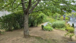 Unser Garten am 18. August 2026