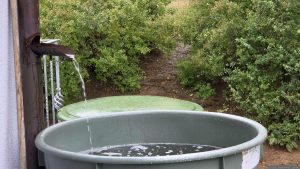 Seltener Anblick im Sommer 2026 - Regenwasser über die Dachrinne zum Regenfass am 21. August 2026