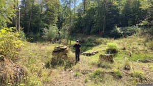 Feuchtbiotop im Guttenberger Wald am 24. August 2026