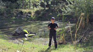 Feuchtbiotop im Guttenberger Wald am 24. August 2026