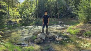 Feuchtbiotop im Guttenberger Wald am 24. August 2026