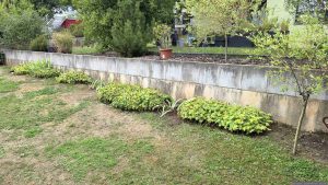 Unser Garten am 29. August 2026