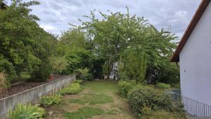 Unser Garten am 29. August 2026