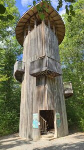 Eichenturm im Guttenberger Wald am 4. September 2026