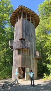 Eichenturm im Guttenberger Wald am 6. September 2026