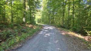 Auf dem Weg zum Burgstall Guttenberg am 6. September 2026
