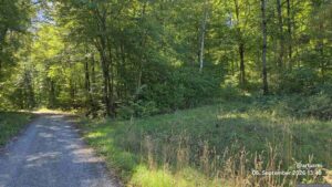 Rückblick auf den Weg zum Burgstall Guttenberg am 6. September 2026