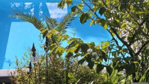 Unser Garten am 15. September 2026