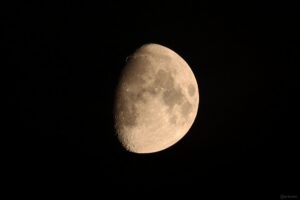 Goldener Henkel am 21. September 2026 am zunehmenden Mond