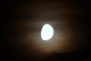 Goldener Henkel am 21. September 2026 am zunehmenden Mond hinter Schleierwolken