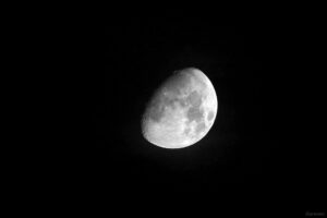 Goldener Henkel am 22. September 2026 am zunehmenden Mond
