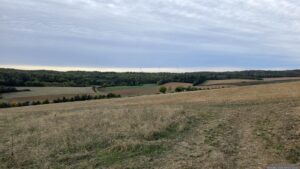 Blick vom Haselberg bei Waldbrunn zum Wanderweg, den wir in den Irtenberger Wald nehmen