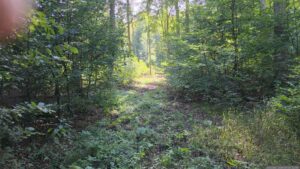 Aufgrund des Zustandes der Waldwege jenseits des Radwegs waren wir wiederholt auf Google Maps angewiesen