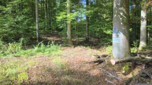 Auch hier half uns Google Maps bei der Orientierung
