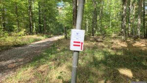 Hier kreuzen wir den Weitwanderweg Romantische Straße und folgen ab sofort den rot-weiß-roten Balken