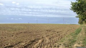 Wir verlassen Höhe Hausackergrund kurz den Wald. Rechts im Bild ist der alternative Weg am Waldrand Richtung Kreisstraße WÜ 31 zu sehen.