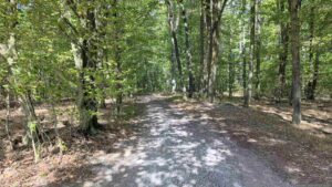 Wir folgen dem Waldweg, gekennzeichnet durch rot-weiß-rote Balken