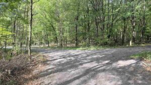 Wir folgen dem Waldweg, gekennzeichnet durch rot-weiß-rote Balken