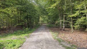 Wir folgen dem Waldweg, gekennzeichnet durch rot-weiß-rote Balken