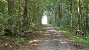 Wir verlassen den Wald und blicken kurz darauf auf Helmstadt im Lkr. Würzburg