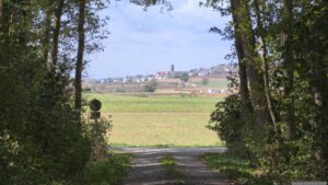 Wir verlassen den Wald und blicken auf Helmstadt im Lkr. Würzburg