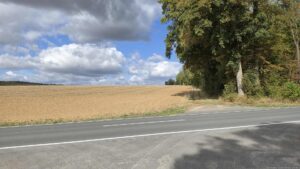 Wir überquer hier die Kreisstraße WÜ 31, die nach links Richtung Helmstadt und nach rechts zur AS Helmstadt führt