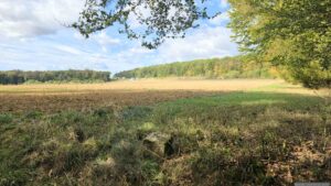 Wir folgen dem Weg am Waldrand in Richtung BAB A3