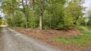 Wir folgen dem Waldweg links in Richtung BAB A3
