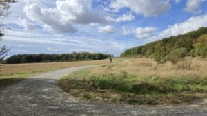 Radweg Richtung Helmstadt von der Brücke über die BAB A3 her kommend