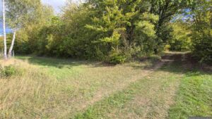 Wir biegen hier links ab auf den Waldweg entlang des Probstforstes im Nordosten in Richtung Waldbüttelbrunn