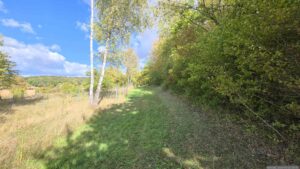 Waldweg entlang des Probstforstes im Nordosten in Richtung Waldbüttelbrunn