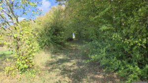 Waldweg entlang des Probstforstes im Nordosten in Richtung Waldbüttelbrunn
