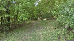 Waldweg entlang des Probstforstes im Nordosten in Richtung Waldbüttelbrunn