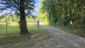 Einmündung des Waldweges entlang des Probstforstes im Nordosten in Richtung Waldbüttelbrunn in den Waldweg zum Köhlerbrunnen