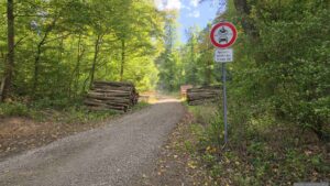 Waldweg im Probstforst in Richtung Köhlerbrunnen