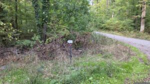 Waldweg im Probstforst nördlich von Waldbrunn mit Wegweiser zum Köhlerbrunnen