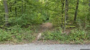 Waldweg im Probstforst nördlich von Waldbrunn. Wir kürzen hier ab auf den Parallelweg und biegen links ab.