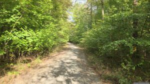 Wir folgen dem Waldweg in Richtung Nordnordwest