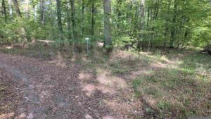 Wir verlassen die Nordic-Walking-Strecke und laufen rechts auf dem Waldweg weiter