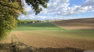 Im Zickzackkurs gehen wir über den Feldweg in Richtung Eisingen