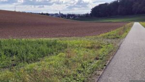 An der geteerten Straße Richtung Waldbrunn biegen wir links auf den Feldweg ab