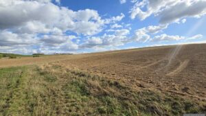 Im Zickzackkurs gehen wir über den Feldweg in Richtung Eisingen