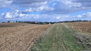 Blick auf Eisingen in Unterfranken