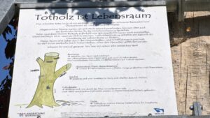 Infotafel am Totholzbaum am 5. Oktober 2026 in Erlabrunn