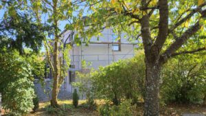 Nach dem entfernen der Äste an der Goldulme und am Kirschbaum in unserem Garten am 6. Oktober 2026