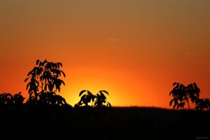 Sonnenuntergang mit Starschwärmen am 6. Oktober 2026