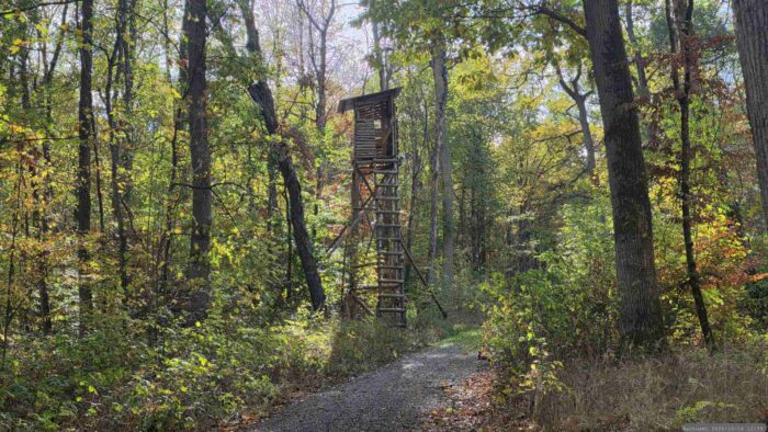 Waldweg am Hühnerberg im Irtenberger Forst