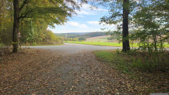 Wir kreuzen die Ortsverbindungsstraße Waldbrunn - Oberalterheim in Richtung Ellinger Hütte